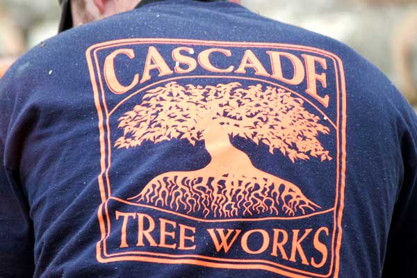 Licensed and Certified Arborists in Portland OR Gresham Beaverton Vancouver WA Camas Battle Ground by Cascade Tree Work